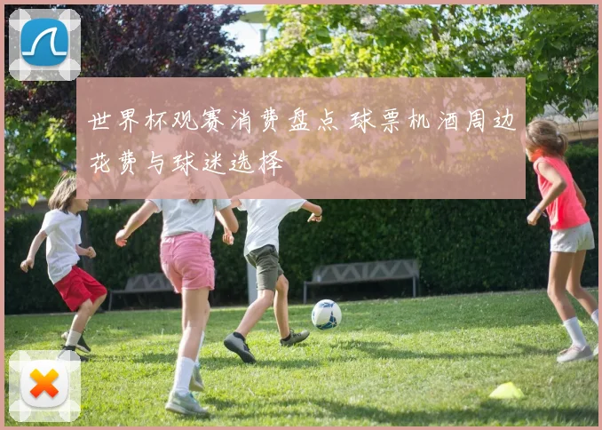 世界杯观赛消费盘点 球票机酒周边花费与球迷选择