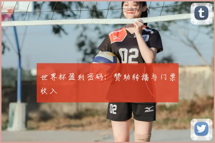 世界杯盈利密码:赞助转播与门票收入