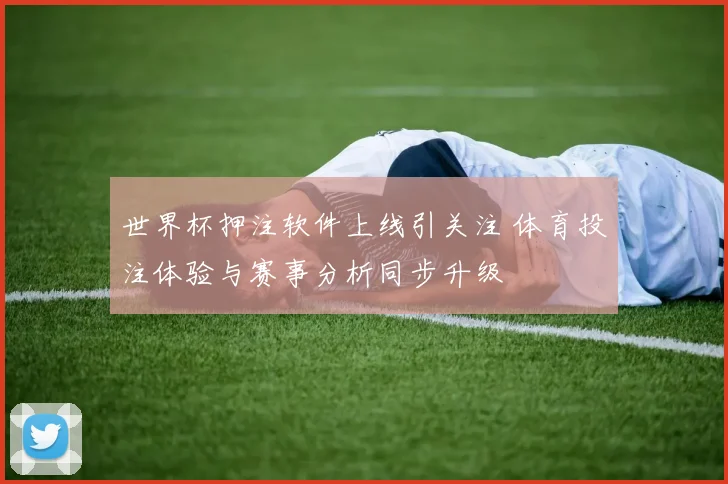 世界杯押注软件上线引关注 体育投注体验与赛事分析同步升级